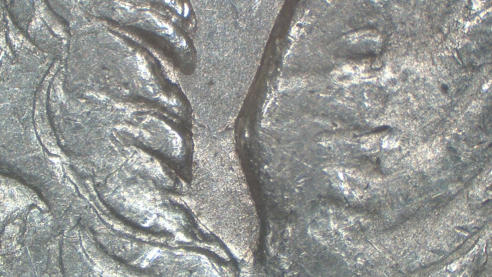 Image 24