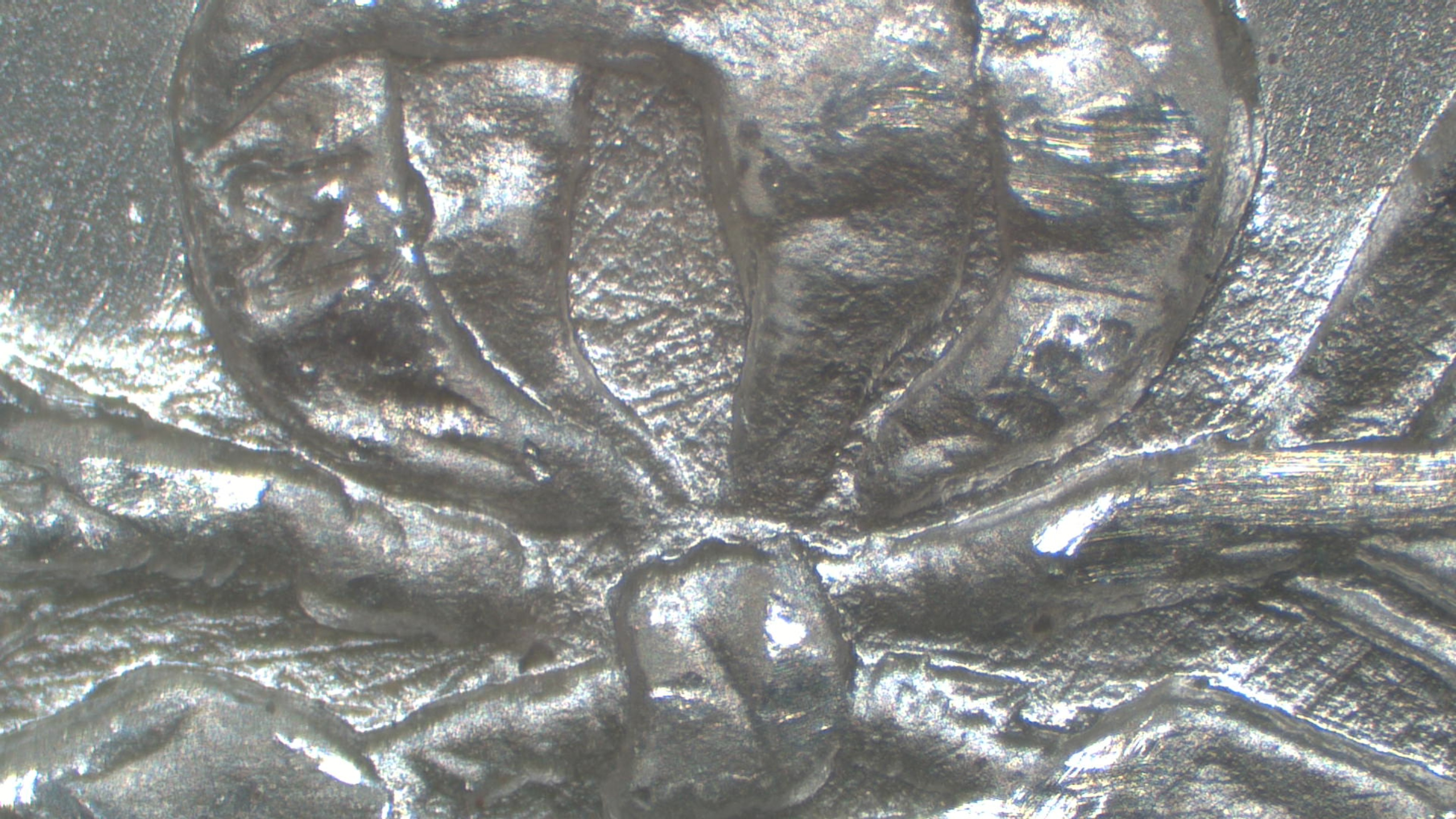 Image 14
