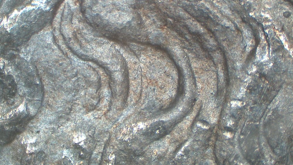 Image 9