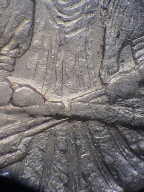 Image 13
