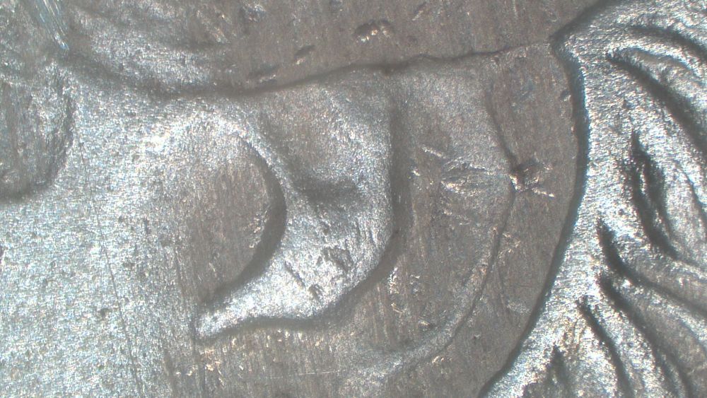 Image 13
