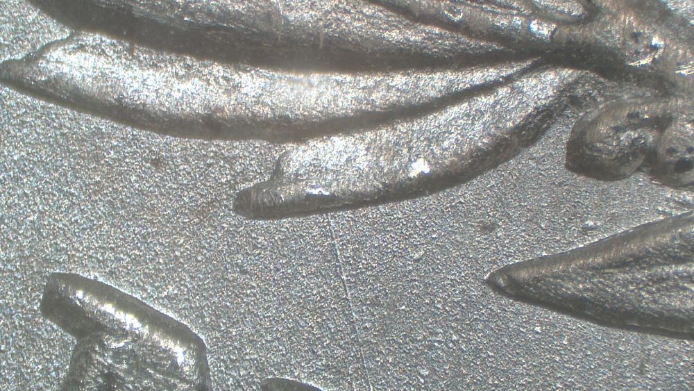 Image 15