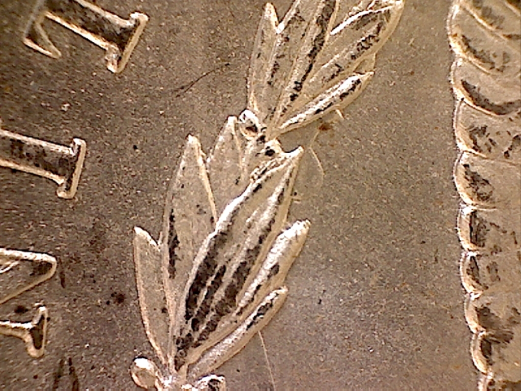 Image 17
