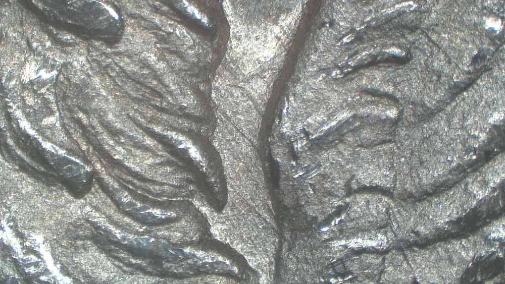 Image 13