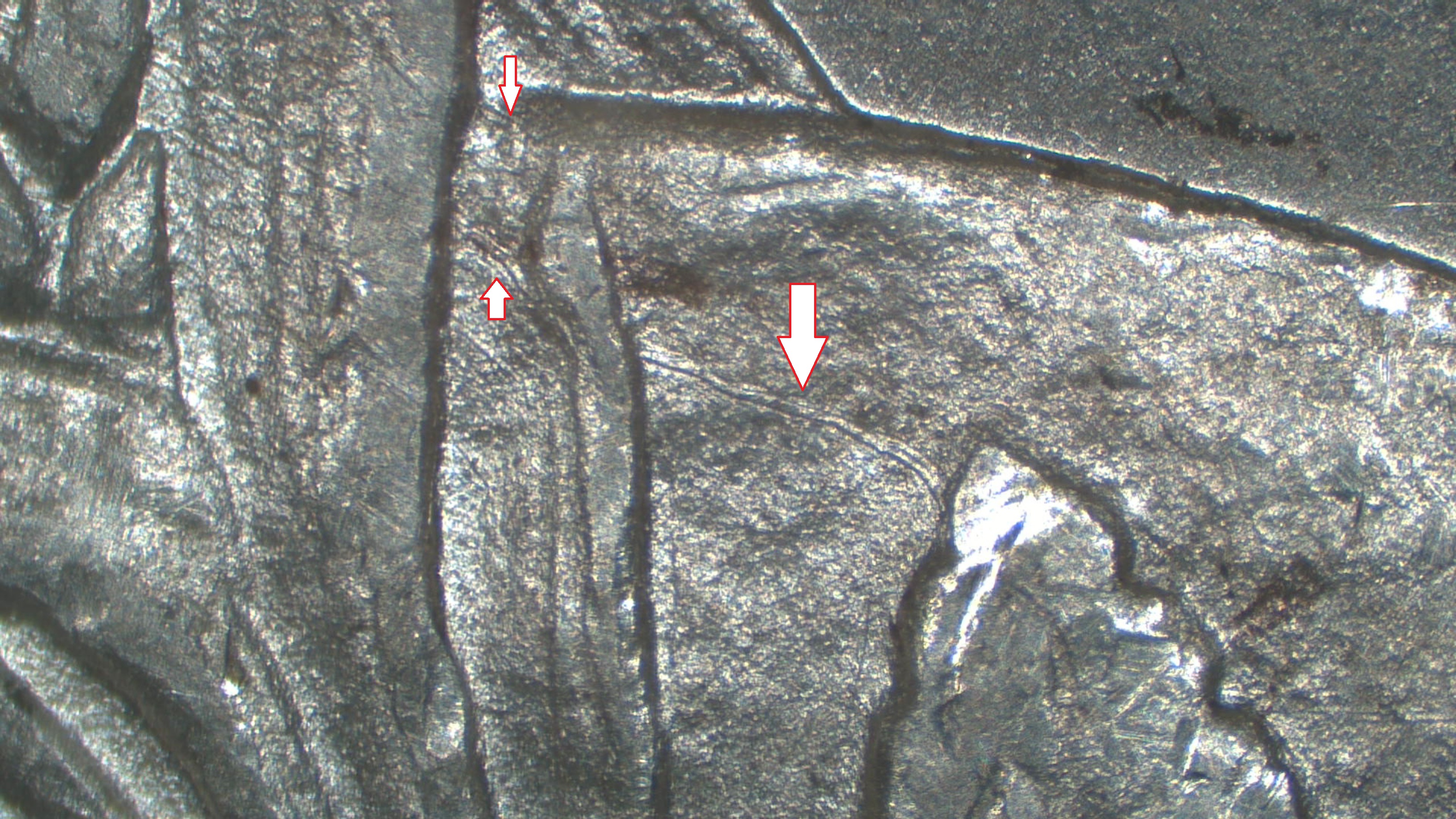 Image 14