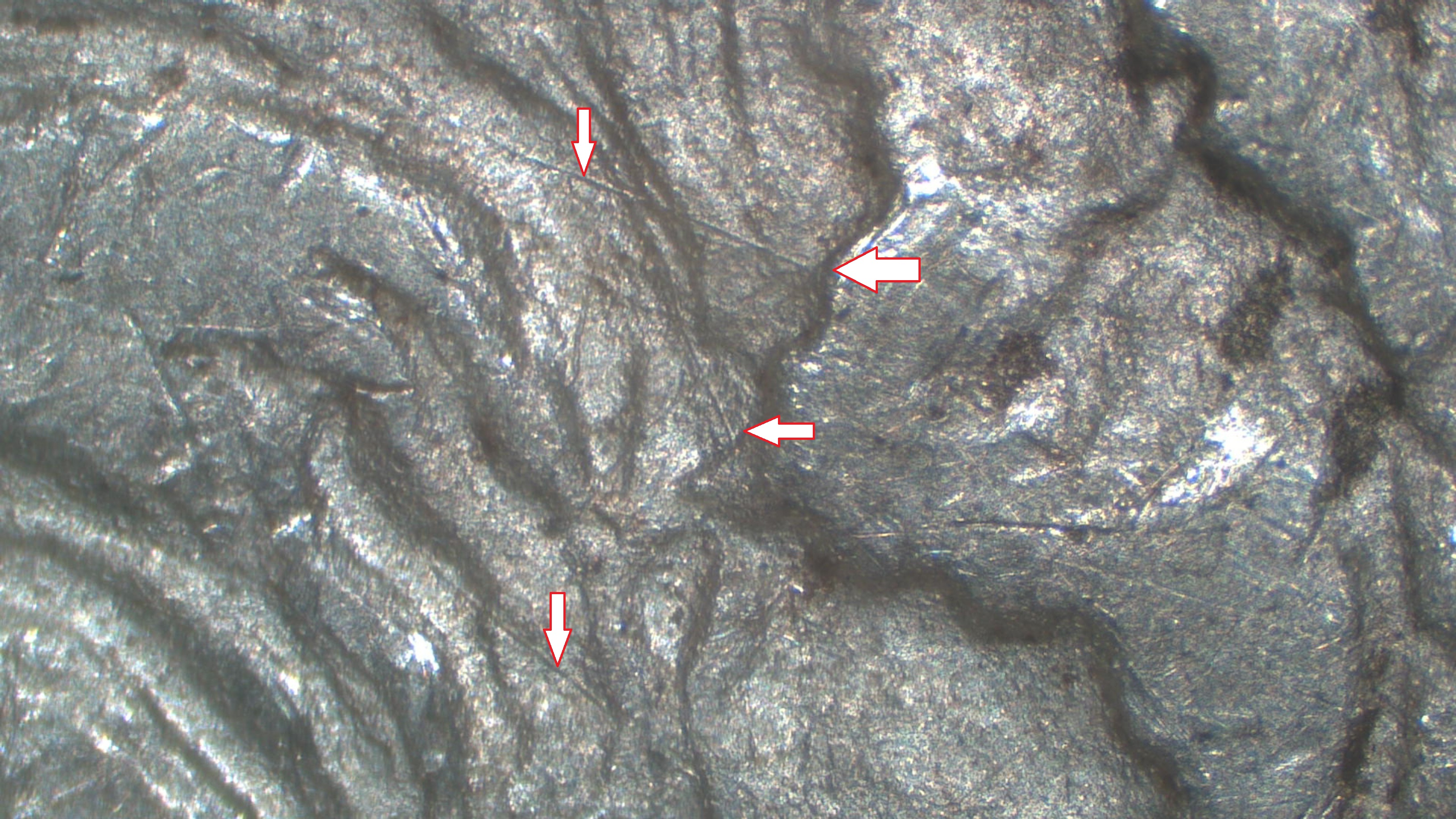 Image 25