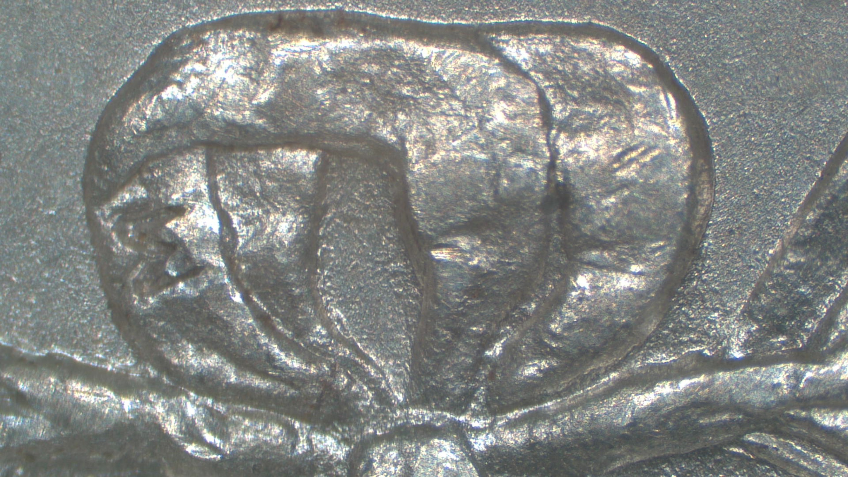 Image 15