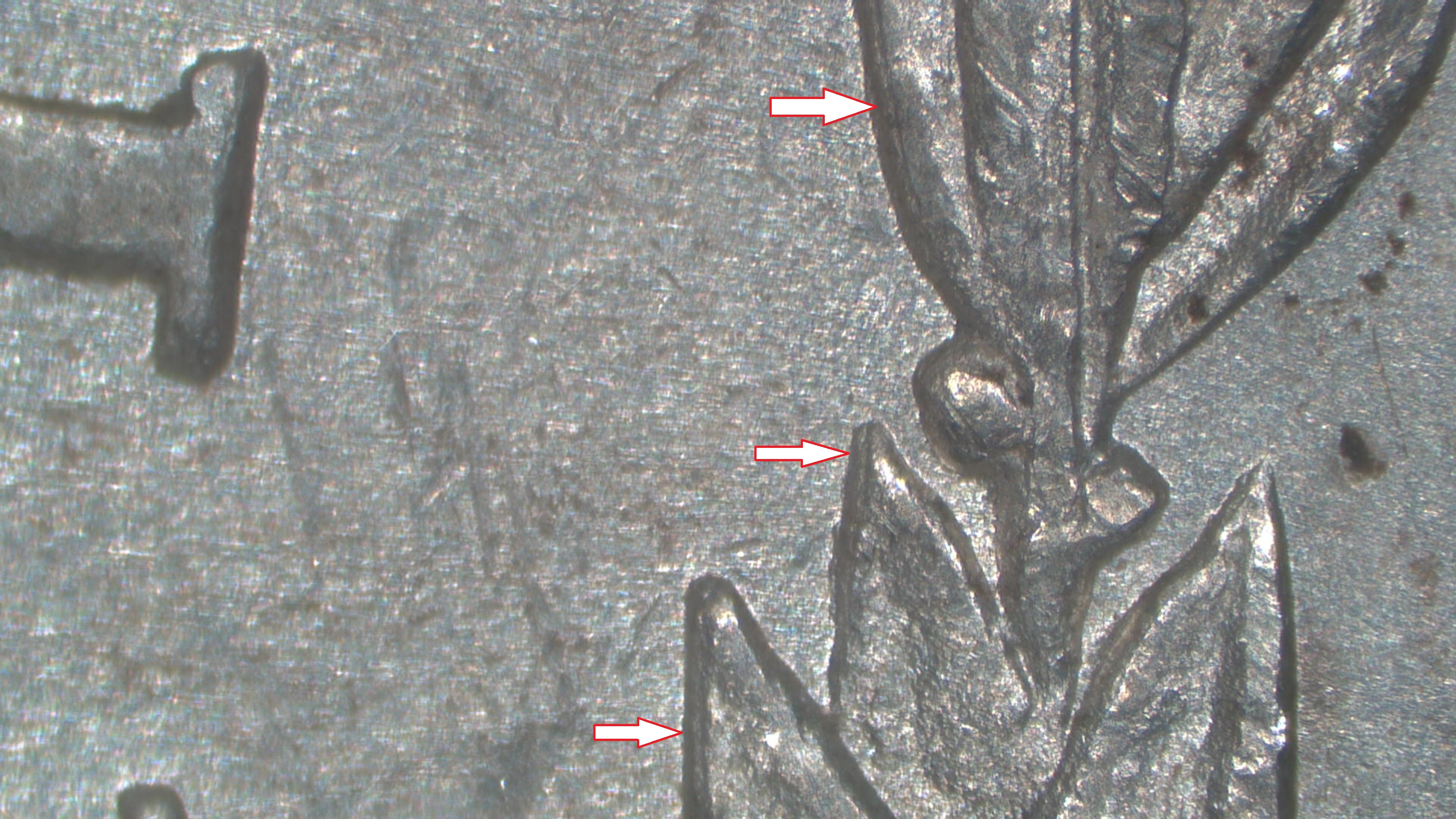 Image 26