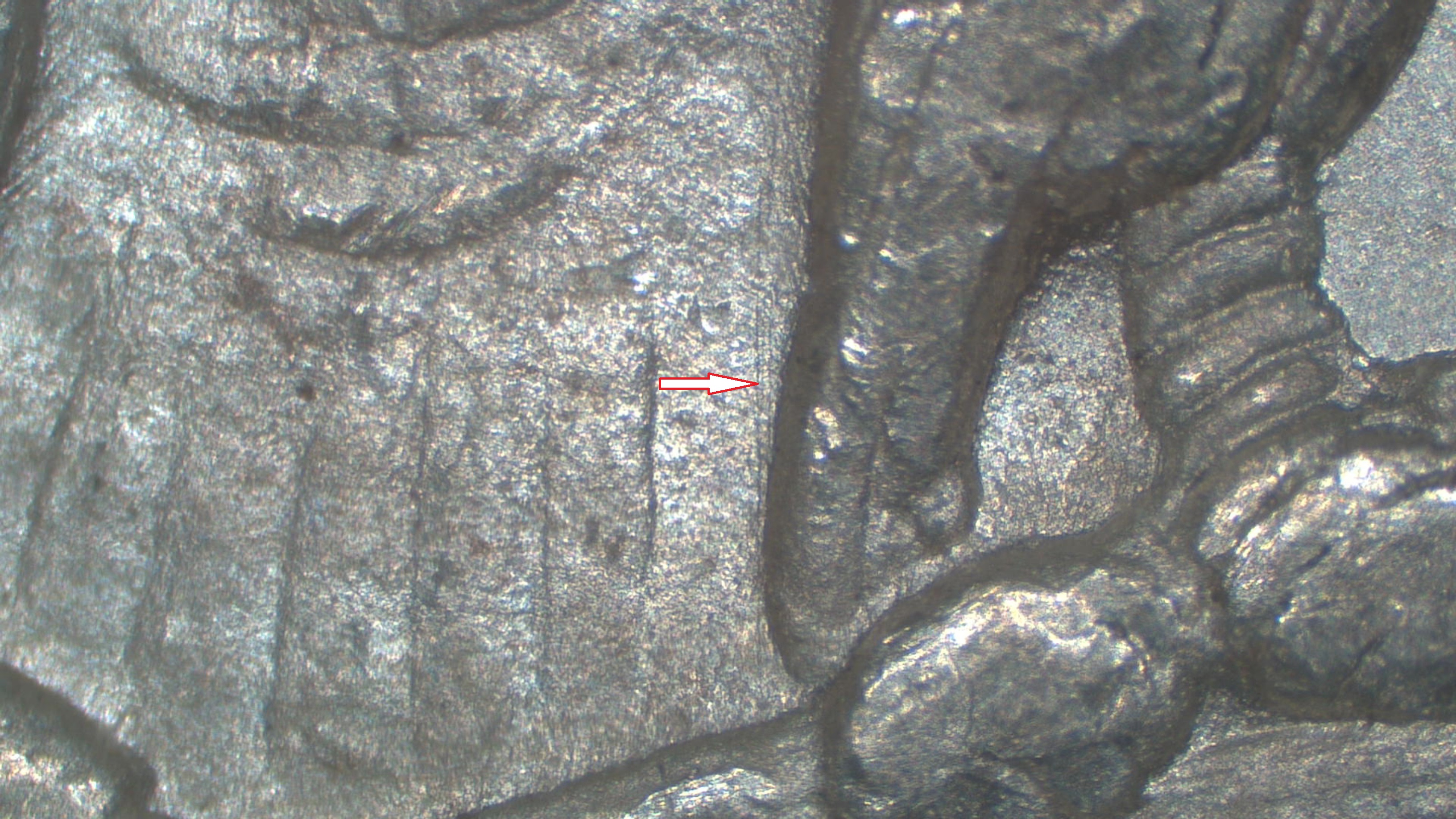 Image 13