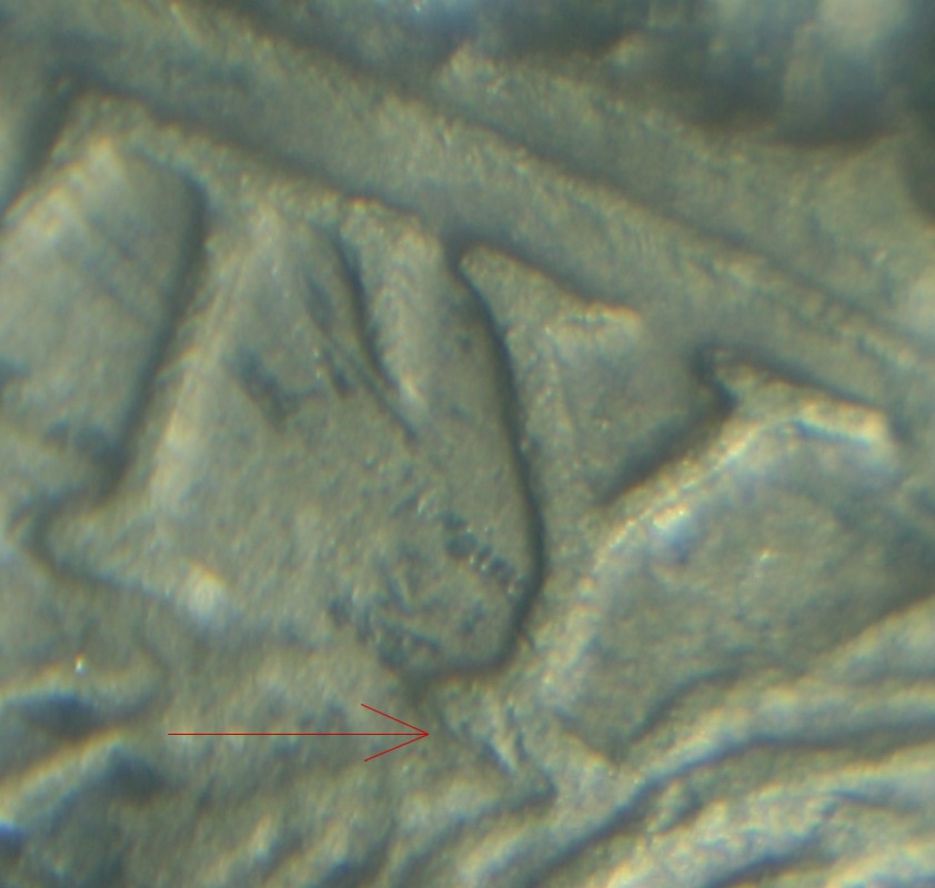 Image 13