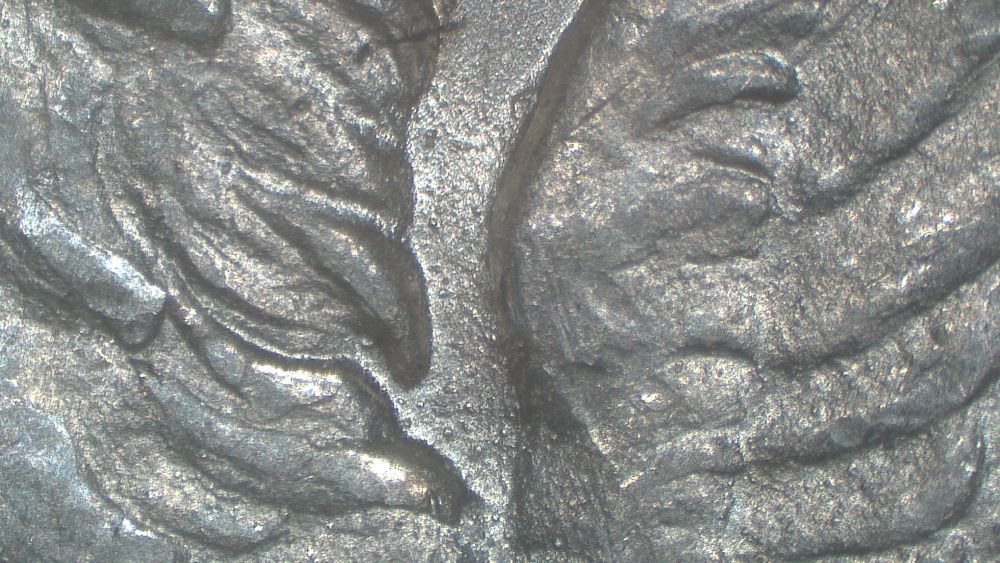 Image 18