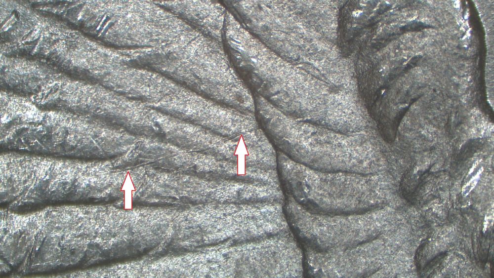 Image 17