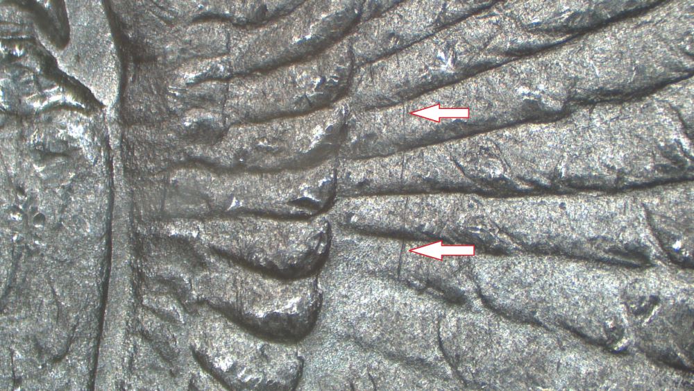Image 16