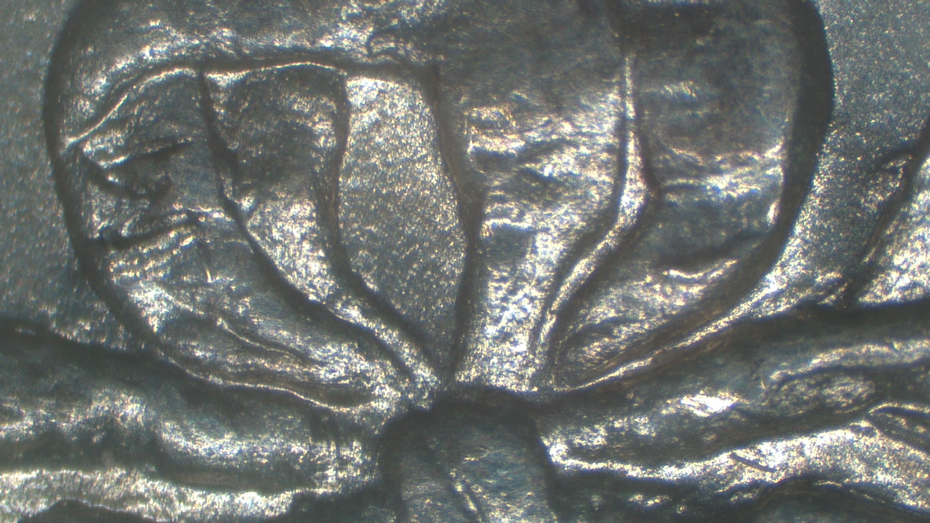 Image 13