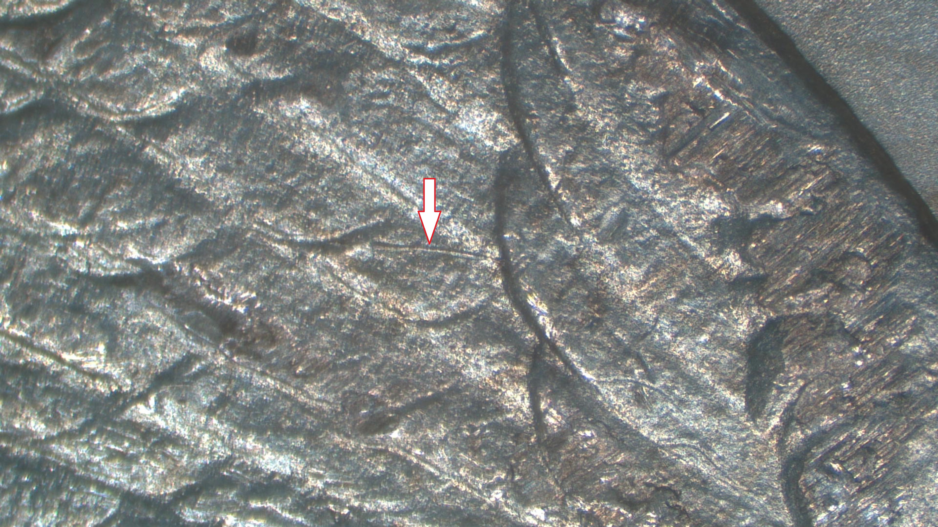 Image 14
