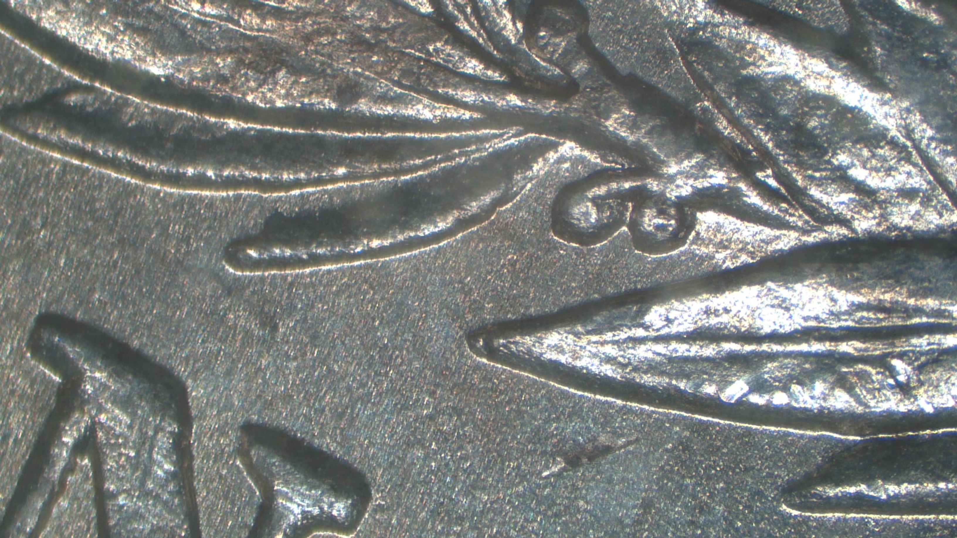 Image 17