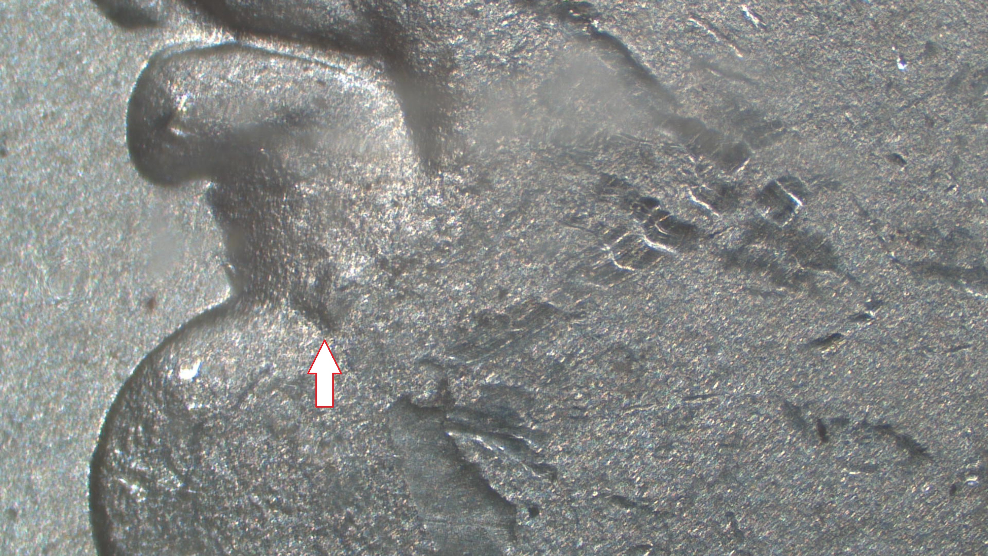 Image 15