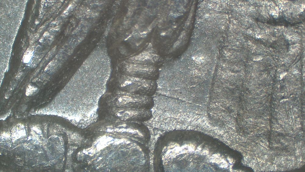 Image 13