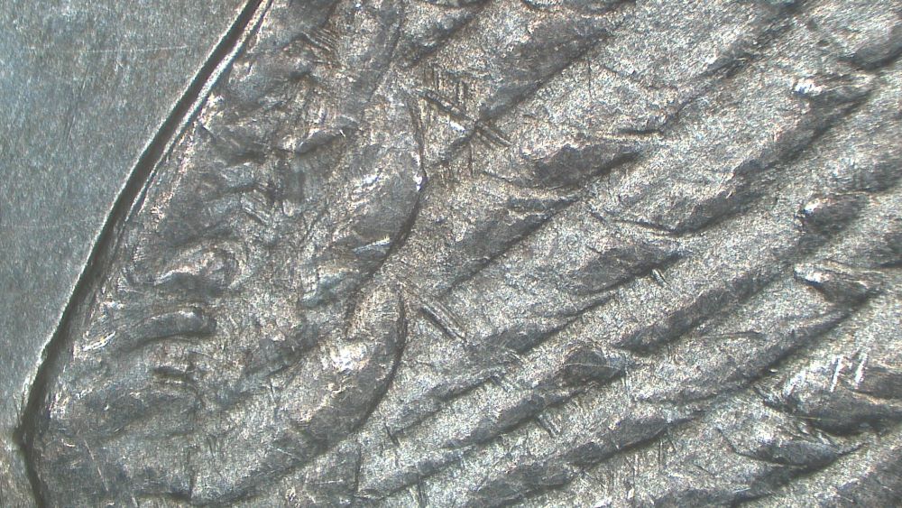 Image 18