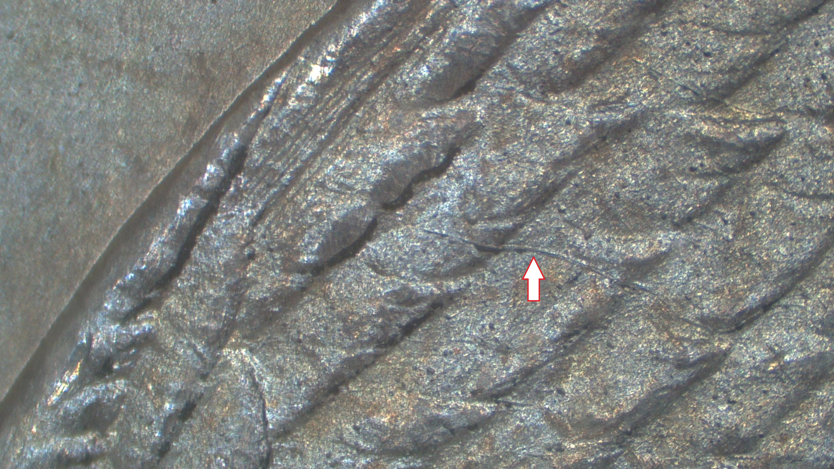 Image 18