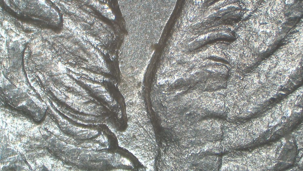 Image 23
