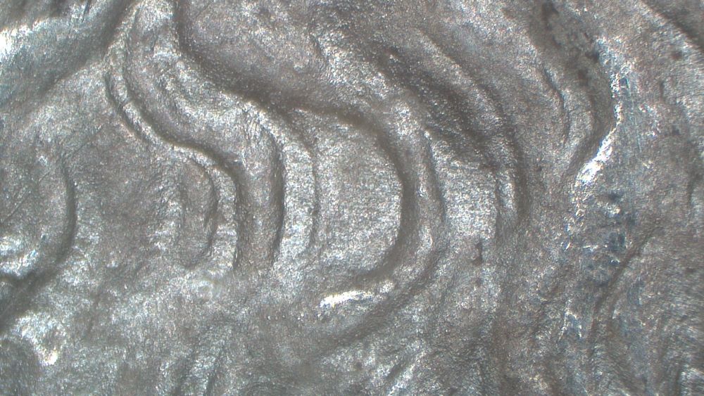 Image 22