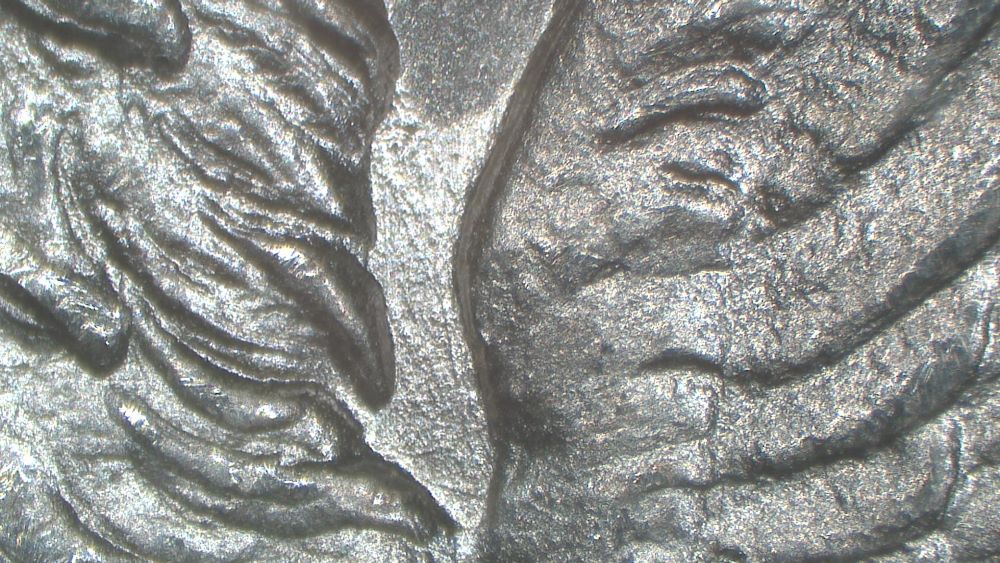 Image 13