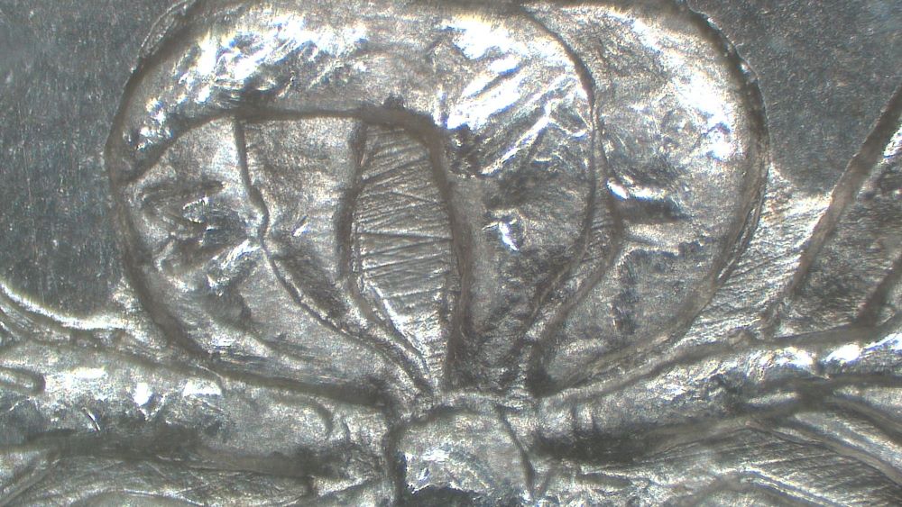 Image 15