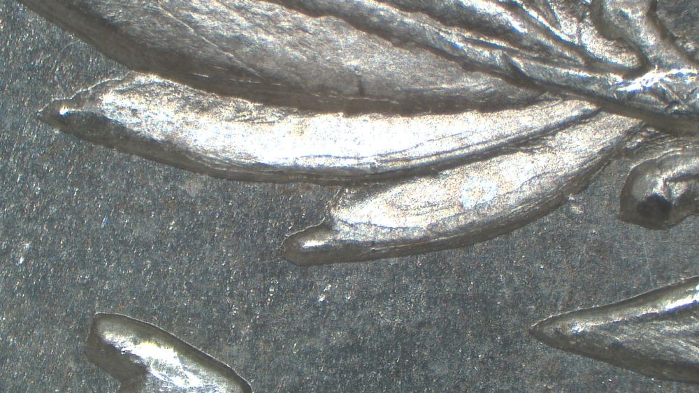 Image 17