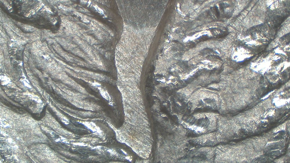 Image 16