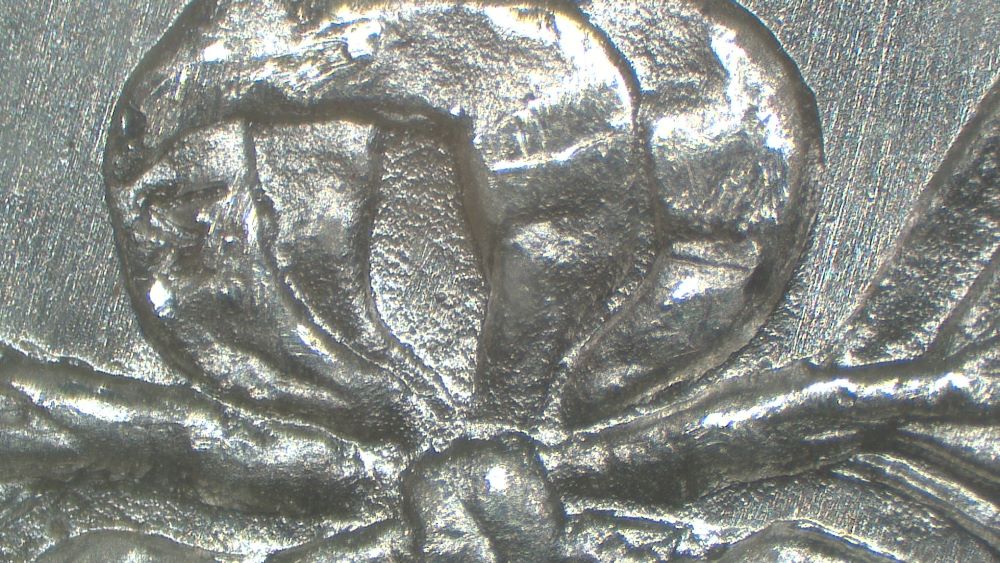 Image 16