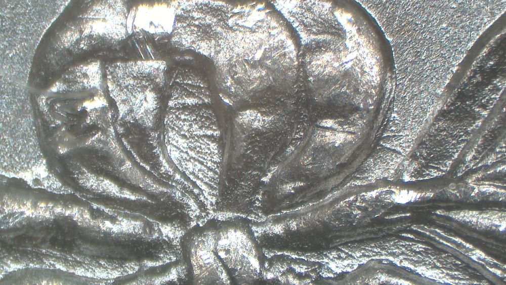 Image 15