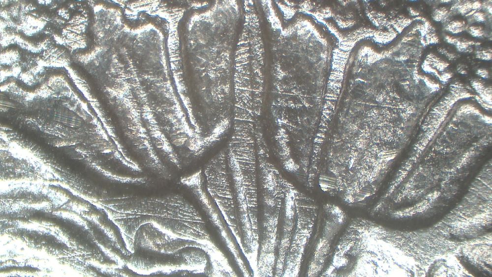 Image 18