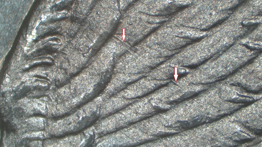 Image 15