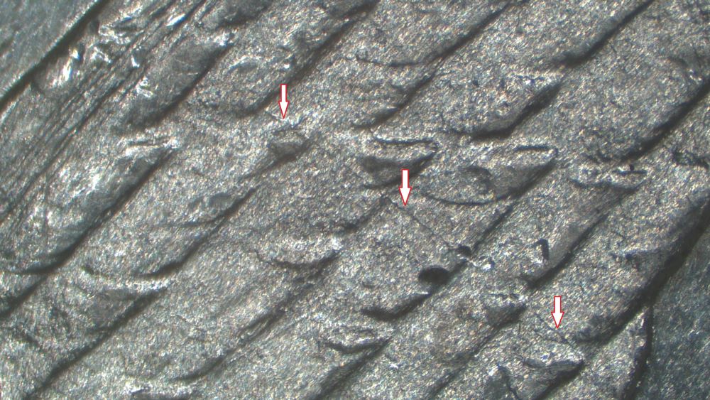 Image 18