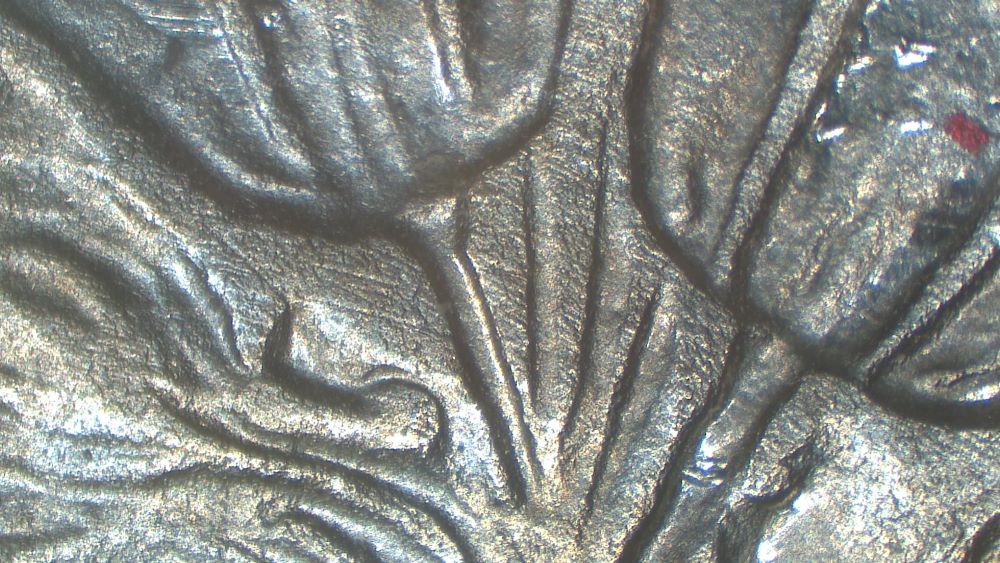 Image 14