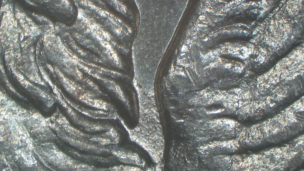 Image 14