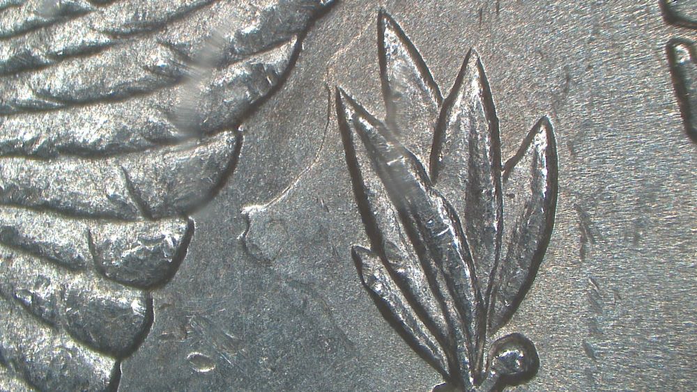 Image 17