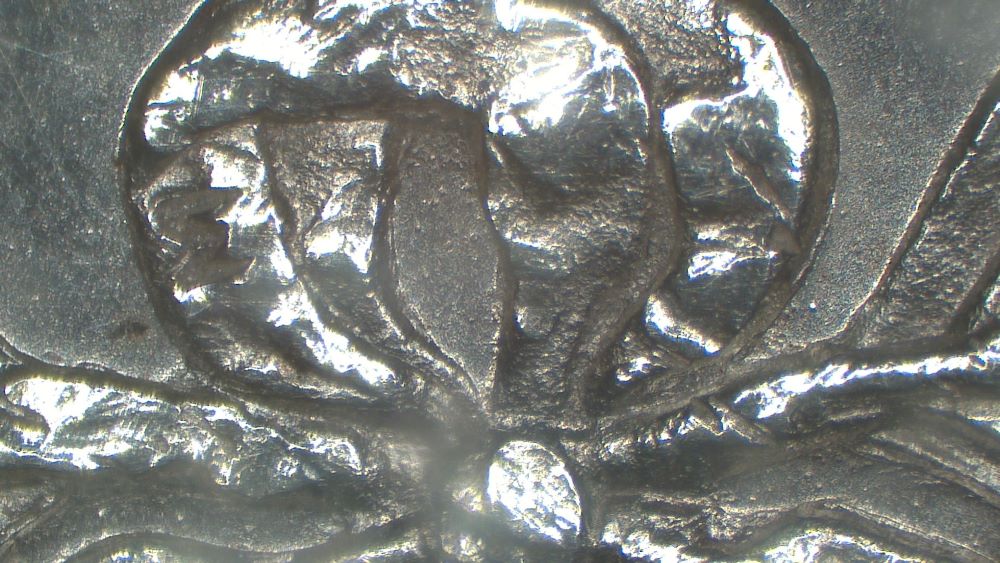 Image 15