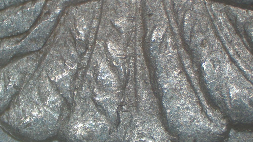 Image 17