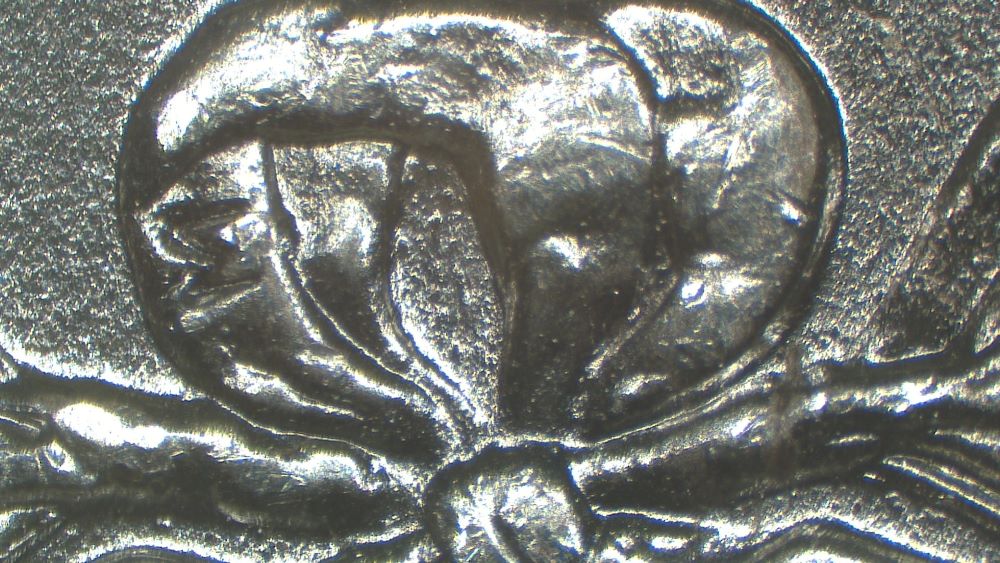Image 17