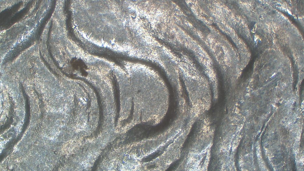 Image 15