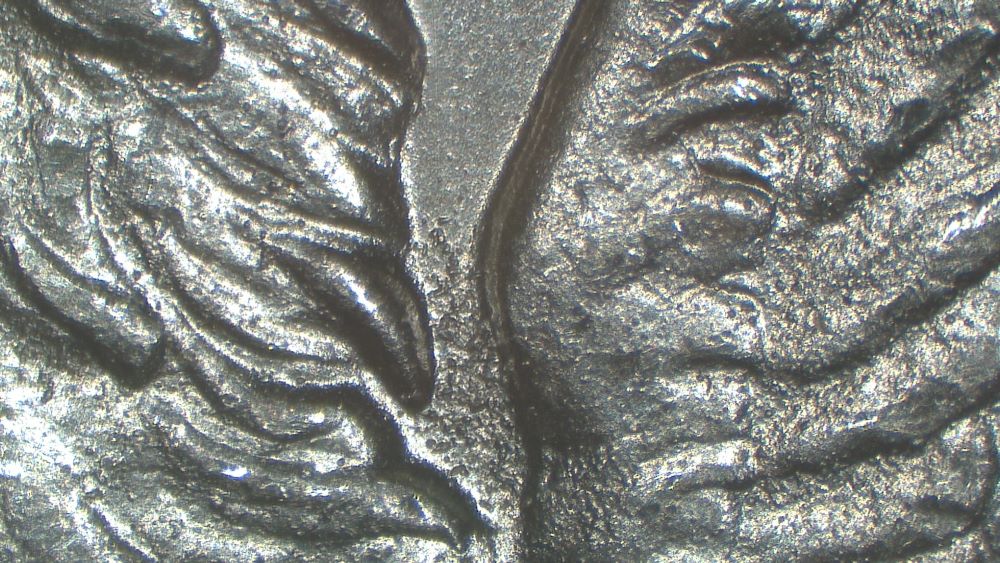 Image 16