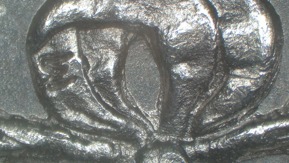 Image 19