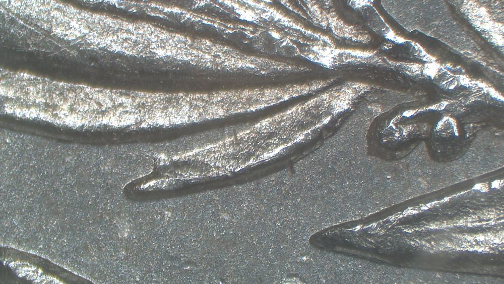 Image 20