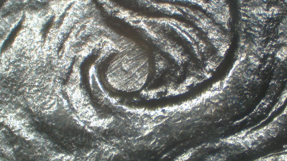 Image 20
