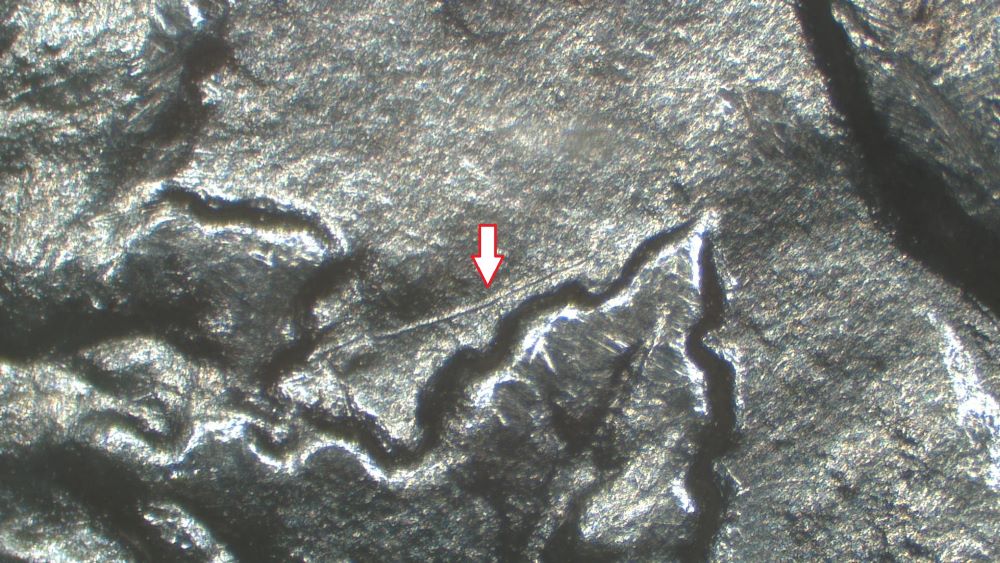 Image 17