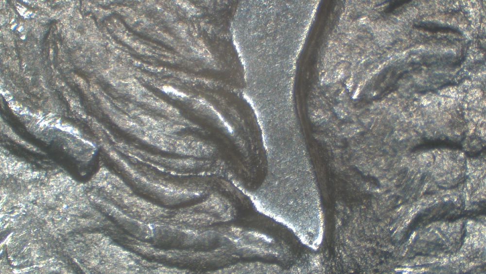 Image 25