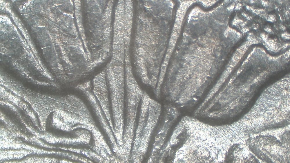 Image 16
