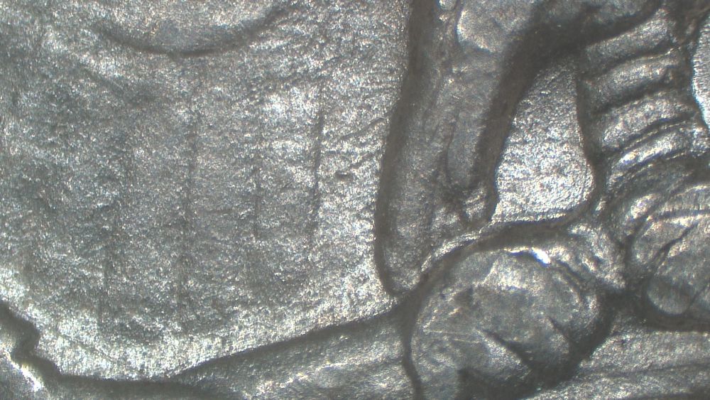 Image 15